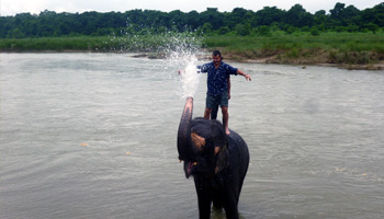 kathmandu-Chitawan-Pokhara Tours 