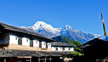 Dhampus-Ghandruk Trekking-8 Days