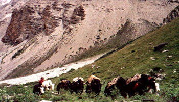Lower Dolpo Trekking-21 Days